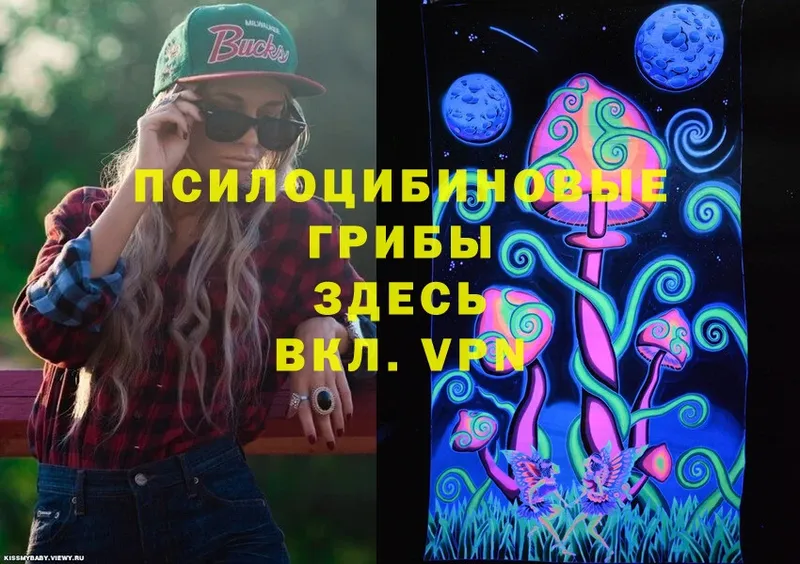 Галлюциногенные грибы Psilocybe  Калининец 